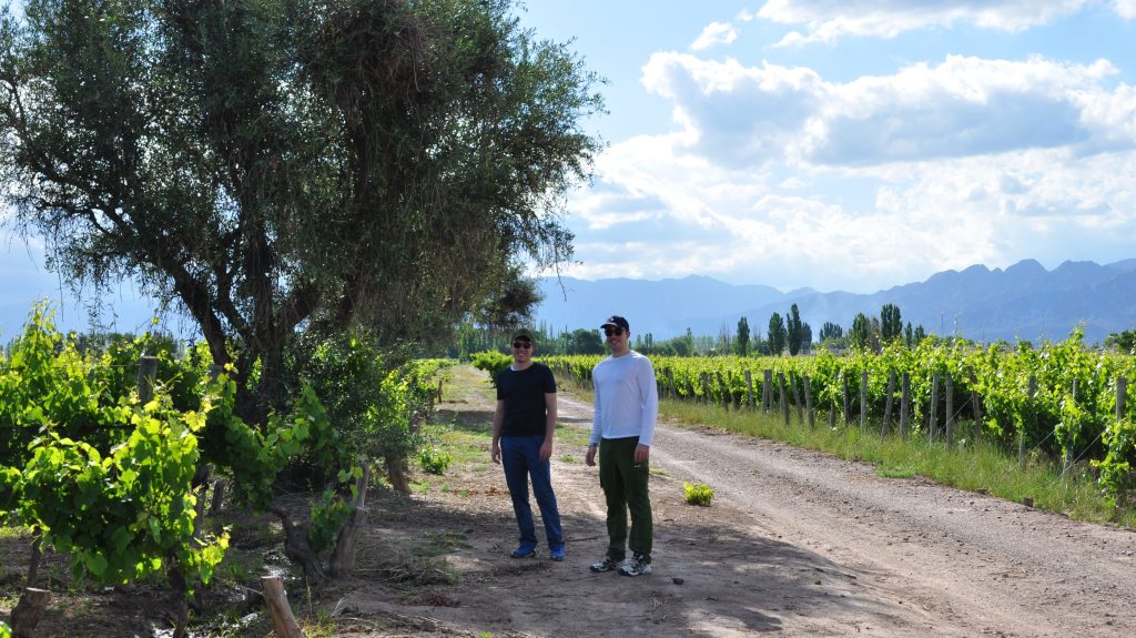 Two men standing in front of a vineyard and olive trees